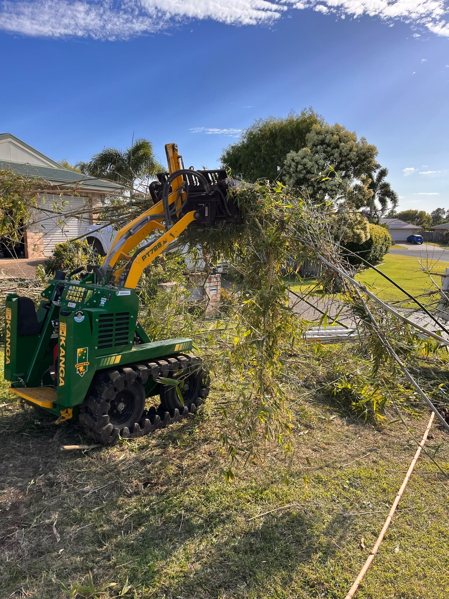 Yard Clean Up